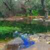 نبض زندگی در فلسطین 18