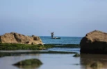 نبض زندگی در فلسطین 22
