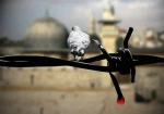 آه ای فلسطین شهر در ظلمت نشسته... 2