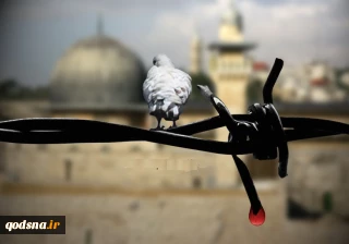 آه ای فلسطین شهر در ظلمت نشسته...