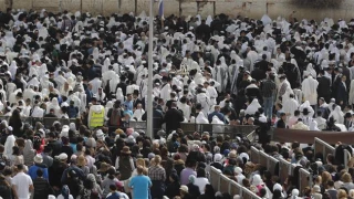 Nearly 400 Israeli settlers storm Aqsa Mosque again