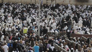 Nearly 400 Israeli settlers storm Aqsa Mosque again