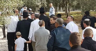 Israeli settlers adamant on Aqsa break-ins
