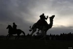 نبض زندگی در فلسطین 2