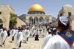 نبض زندگی در فلسطین 7
