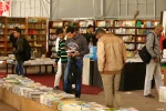 نبض زندگی در فلسطین 10