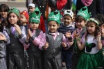 نبض زندگی در فلسطین 11