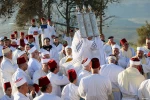 نبض زندگی در فلسطین 7