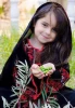 نبض زندگی در فلسطین 12