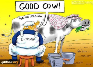 The good Cow...!