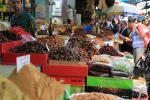 گزارش تصویری/

محفل انس با قرآن در مسجد العمری غزه 8