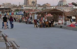 مواطنون يلجأون الى الافطار على شاطئ البحر بسبب تواصل ازمة الكهرباء فى قطاع غزة 3