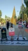 Iranian passion for anti-Israeli combat 5