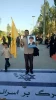 Iranian passion for anti-Israeli combat 8
