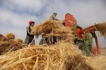 نبض زندگی در فلسطین

 9