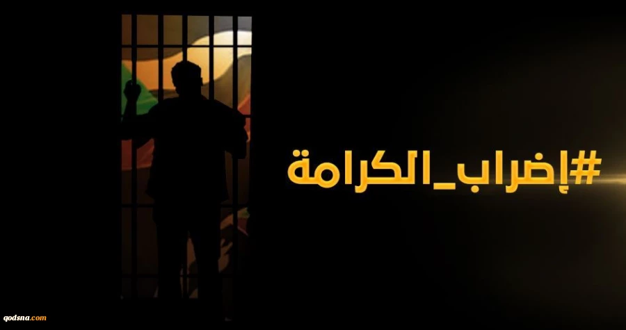 Palestinian captives complain of serious health problems 2