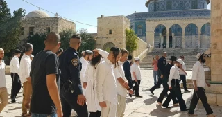 47 Israeli settlers break into Aqsa Mosque