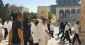 47 Israeli settlers break into Aqsa Mosque