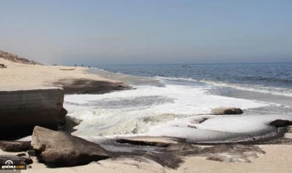 Warning of increasing pollution of seawater in Gaza