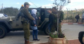84 Palestinian women, girls arrested by Israel over recent months