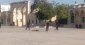 Islamic Jihad: Aqsa shootout natural response to Israeli terrorism