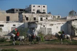 تجمع سوارکاران در غزه در حمایت از مسجدالاقصی 4