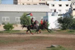 تجمع سوارکاران در غزه در حمایت از مسجدالاقصی 10