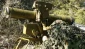 Hezbollah brought dignity to Arab nation - Palestinian analyst