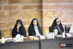 هفتمین جلسه کمیسیون سیاسی و امور بین الملل جمعیت دفاع از ملت فلسطین
 5