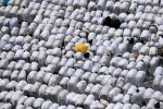 حرکت باشکوه حجاج بیت الله الحرام به سوی سرزمین منا
 2