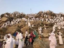 حرکت باشکوه حجاج بیت الله الحرام به سوی سرزمین منا
 11