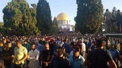 برگزاری باشکوه نماز عید سعید قربان در مسجدالاقصی و نوارغزه 3