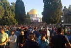 برگزاری باشکوه نماز عید سعید قربان در مسجدالاقصی و نوارغزه 5
