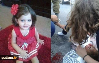 در پی زیر گرفته شدن از سوی شهرک نشین صهیونیست؛

شهادت مظلومانه دختربچه فلسطینی/ دینا الجعبری فقط پنج بهار دیده بود