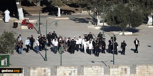 زنگ خطر برای مسجدالاقصی به صدا درآمد؛
افزایش 60 درصدی حمله به مسجد الاقصی 2