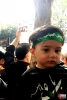 مراسم تشييع الشهيد حججي في طهران 8