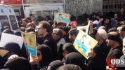 تشییع باشکوه پیکر شهید محسن حججی در تهران(2) 4