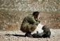 8 Israeli troopers commit suicide in past 3 months