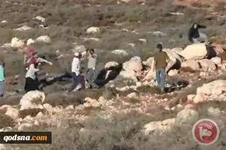 Israeli settlers attack Palestinians harvesting olives