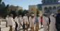 64 Israeli settlers break into al-Aqsa courtyards