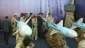 Yemeni commanders inspect naval missiles at Hudaydah exhibition