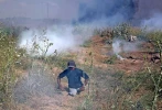 جانباز فلسطینی؛ از مبارزه با صهیونیستها تا شهادت 8
