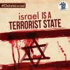 Hashtagged: #DeleteIsrael 6