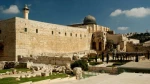 Palestine, top issue of Muslim community until liberation 2