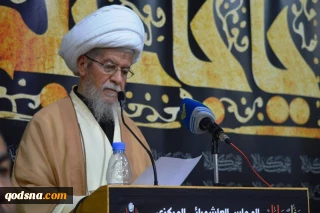 Impossible to trust Arab regimes to support Palestine: Ayatollah Nabulsi