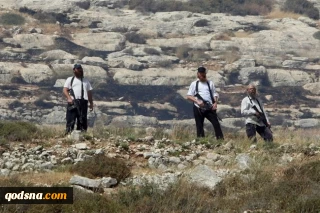 Israeli settler harrases Palestinian farmers in Jordan Valley