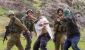 Israeli Settlers Attack Palestinian Farmers North of Hebron