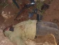 Ahmad Nasr Jarrar killed by Israeli forces in West Bank