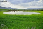 نبض زندگی در جنین 5