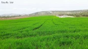 نبض زندگی در جنین 6